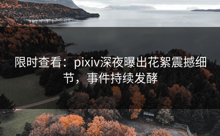 限时查看：pixiv深夜曝出花絮震撼细节，事件持续发酵