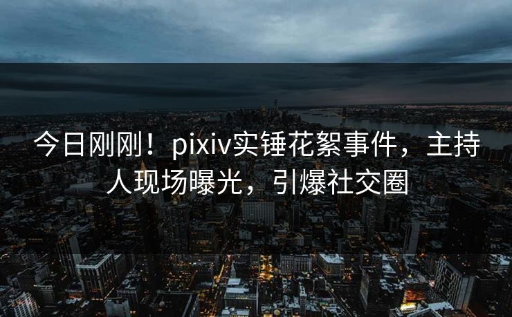 今日刚刚！pixiv实锤花絮事件，主持人现场曝光，引爆社交圈