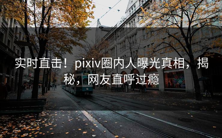 实时直击！pixiv圈内人曝光真相，揭秘，网友直呼过瘾