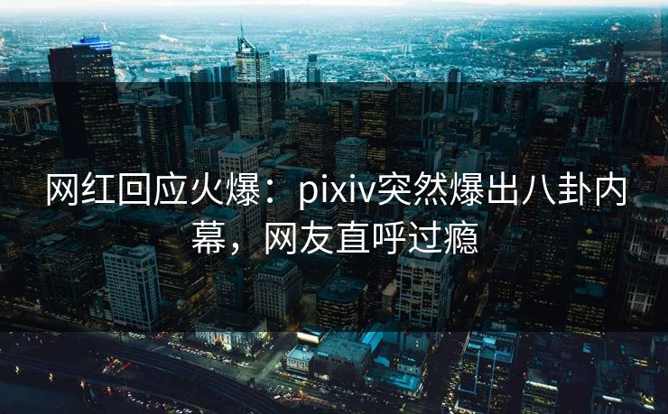 网红回应火爆：pixiv突然爆出八卦内幕，网友直呼过瘾