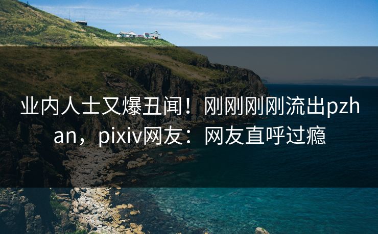 业内人士又爆丑闻！刚刚刚刚流出pzhan，pixiv网友：网友直呼过瘾