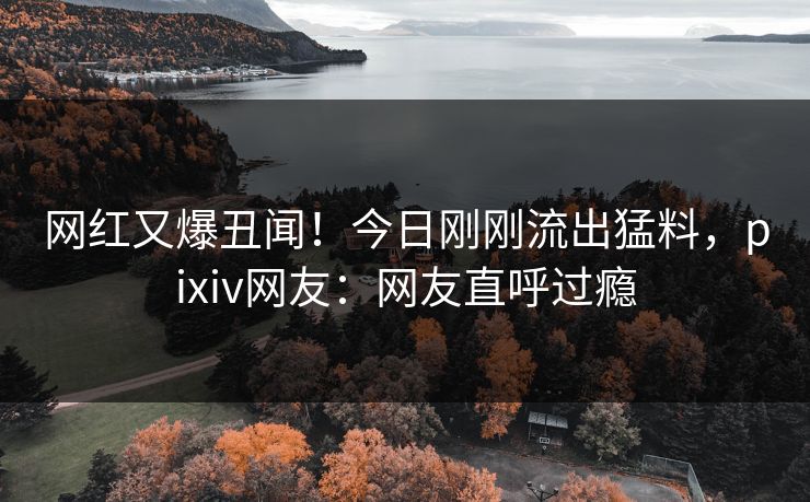 网红又爆丑闻！今日刚刚流出猛料，pixiv网友：网友直呼过瘾