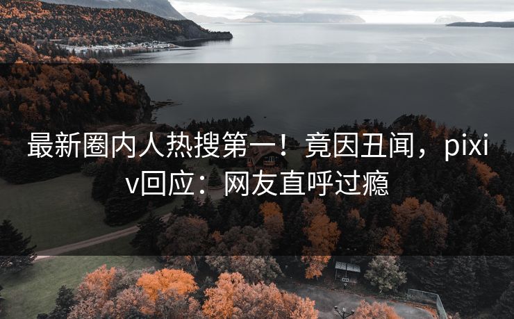最新圈内人热搜第一！竟因丑闻，pixiv回应：网友直呼过瘾