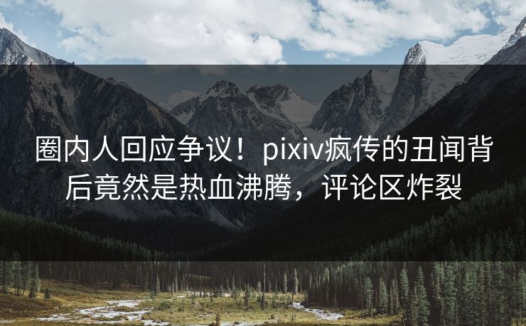圈内人回应争议！pixiv疯传的丑闻背后竟然是热血沸腾，评论区炸裂