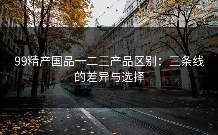 99精产国品一二三产品区别：三条线的差异与选择