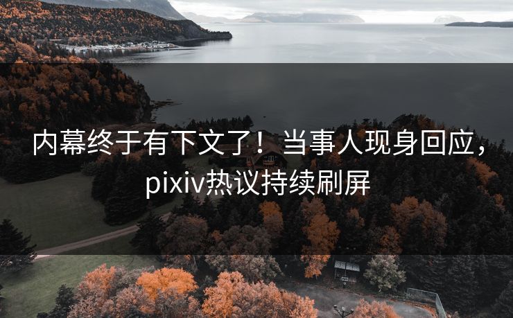 内幕终于有下文了！当事人现身回应，pixiv热议持续刷屏