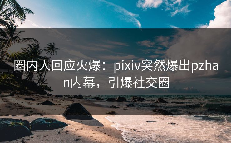 圈内人回应火爆：pixiv突然爆出pzhan内幕，引爆社交圈