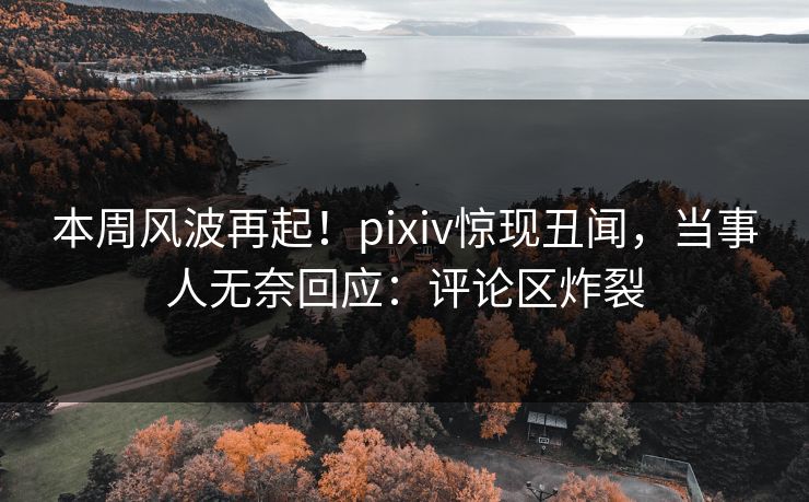 本周风波再起！pixiv惊现丑闻，当事人无奈回应：评论区炸裂