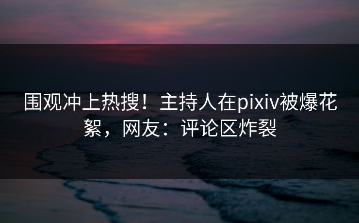 围观冲上热搜！主持人在pixiv被爆花絮，网友：评论区炸裂
